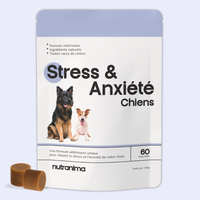 Stress & Anxiété