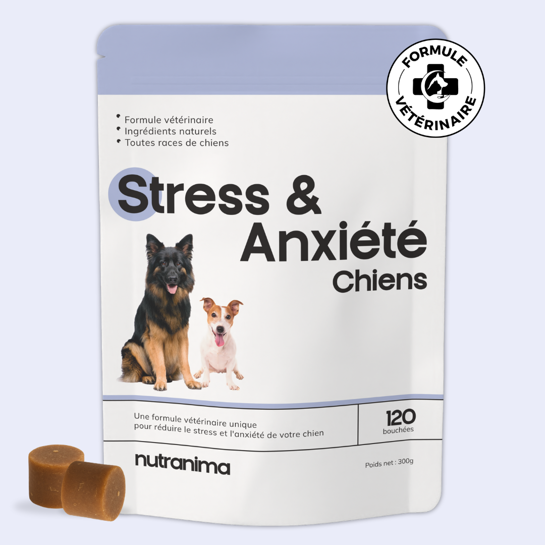 Stress & Anxiété