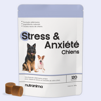 Stress & Anxiété