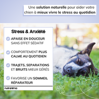 Stress & Anxiété