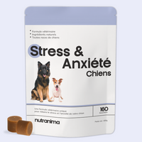 Stress & Anxiété