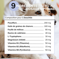 Stress & Anxiété