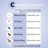 Stress & Anxiété