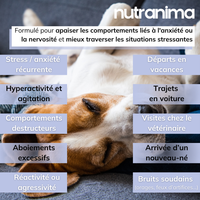 Stress & Anxiété