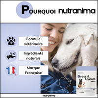 Stress & Anxiété