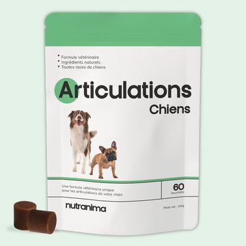 Articulations