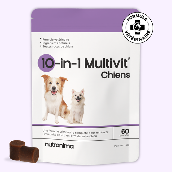 10-in-1 Multivit