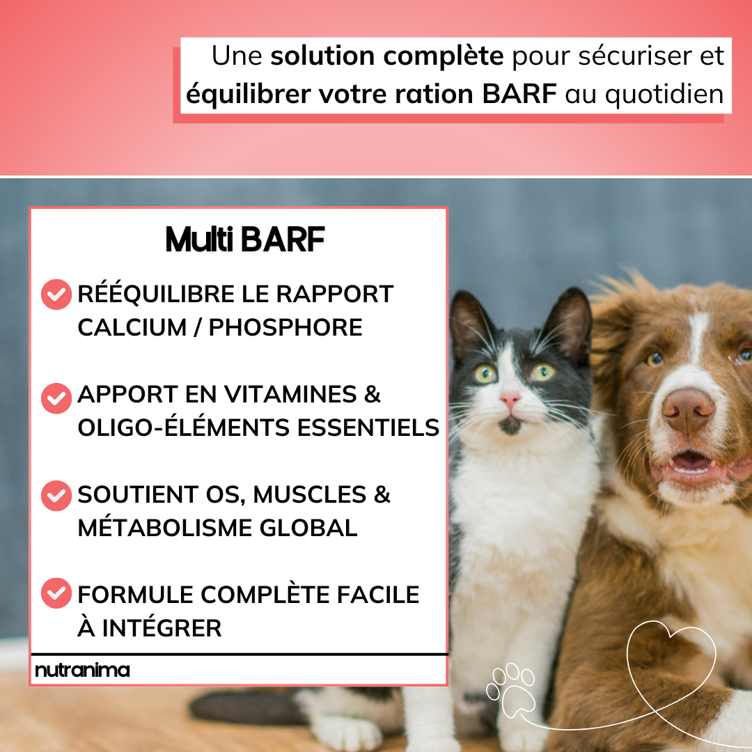 Le Multi BARF (Nouvelle Formule!)