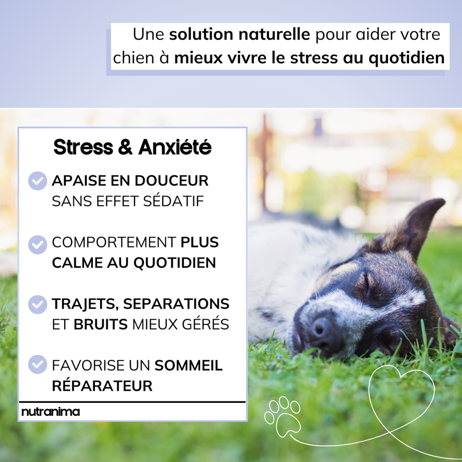 Stress & Anxiété