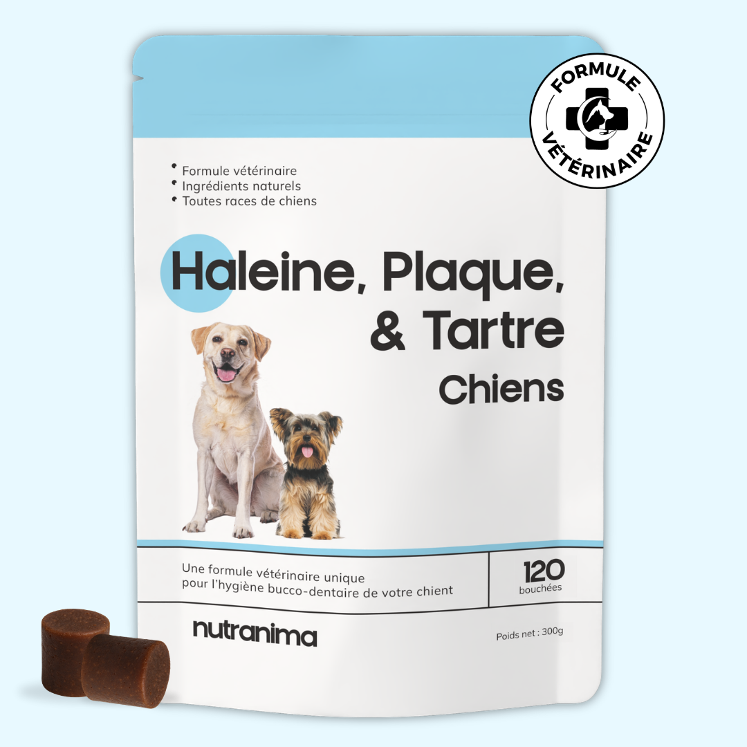 Haleine, Plaque et Tartre