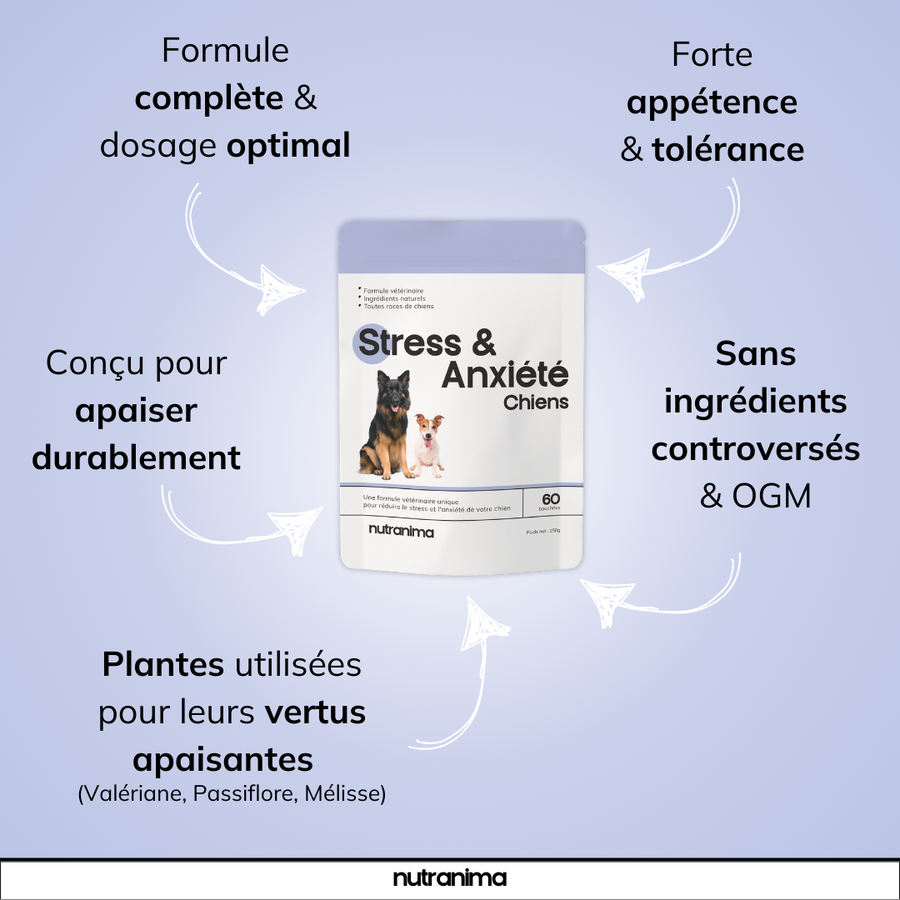 Stress & Anxiété
