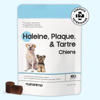 Haleine, Plaque et Tartre