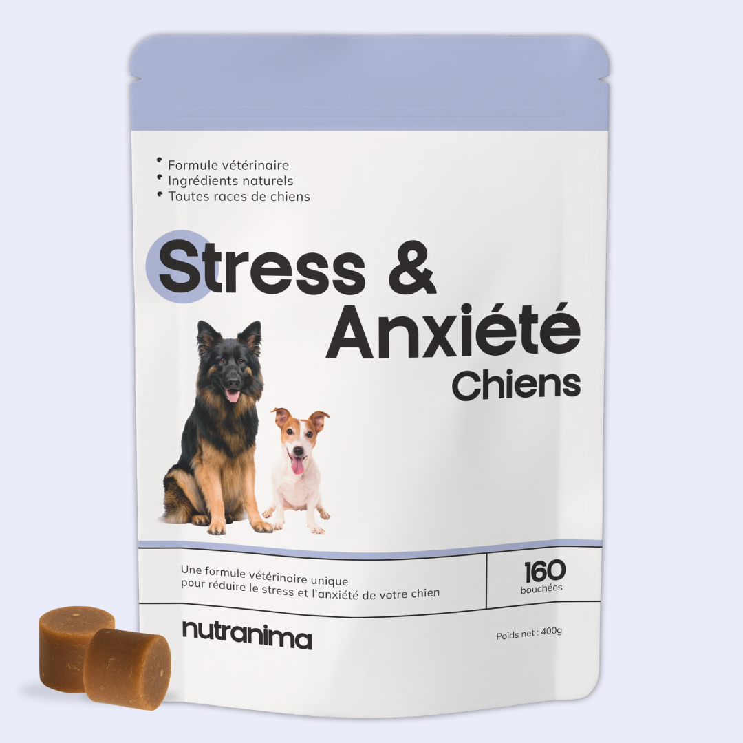 Stress & Anxiété