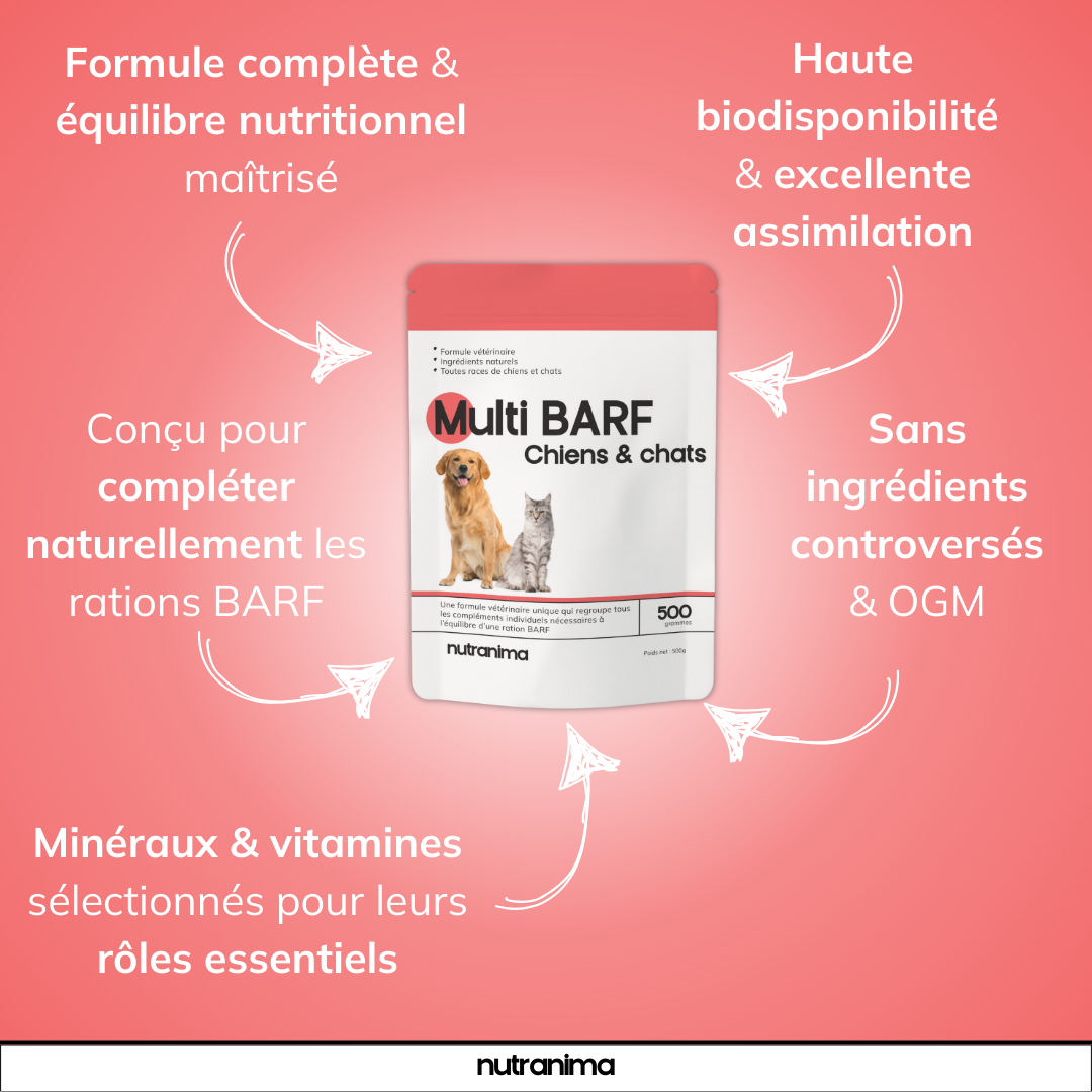 Le Multi BARF (Nouvelle Formule!)