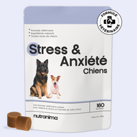 Stress & Anxiété
