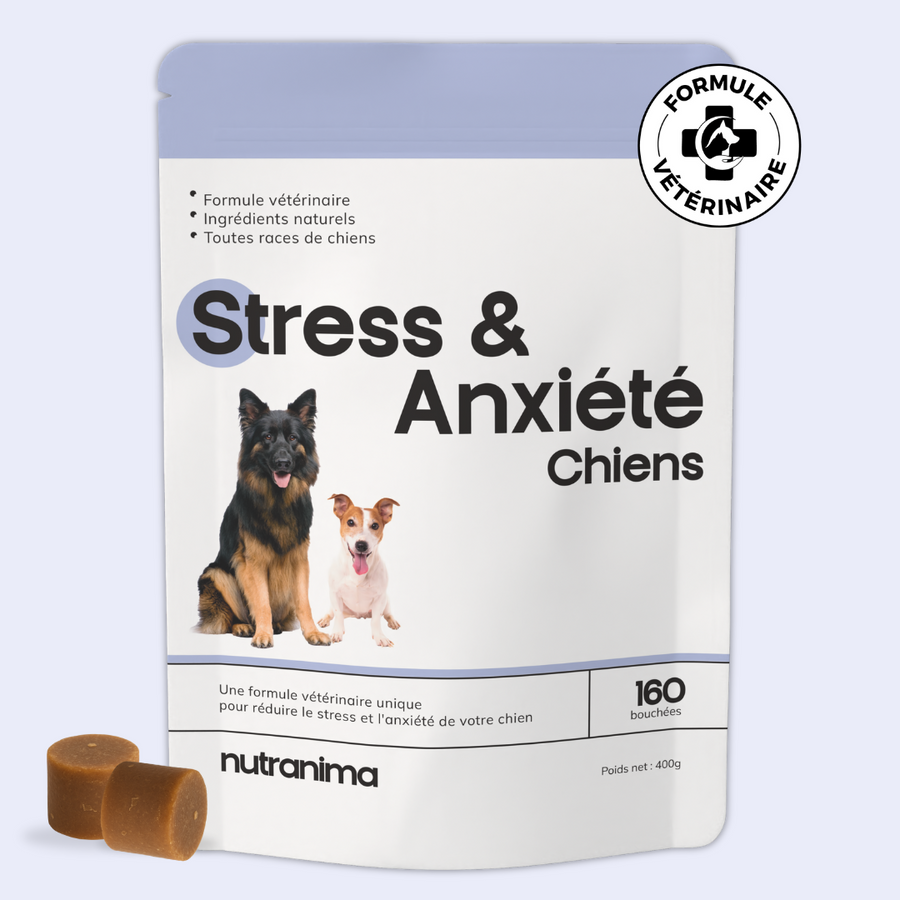 Stress & Anxiété