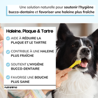 Haleine, Plaque et Tartre