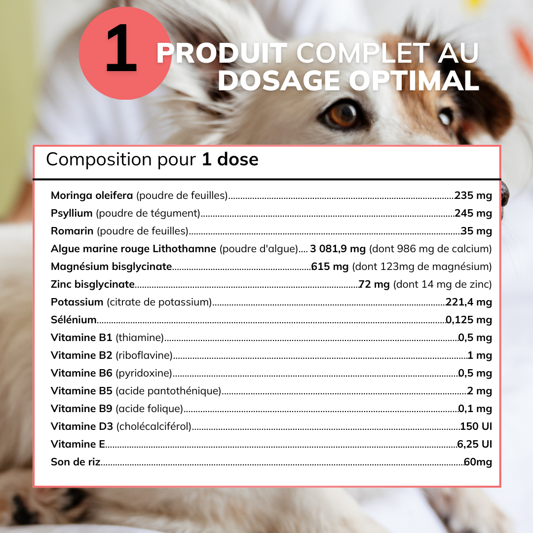 Le Multi BARF (Nouvelle Formule!)