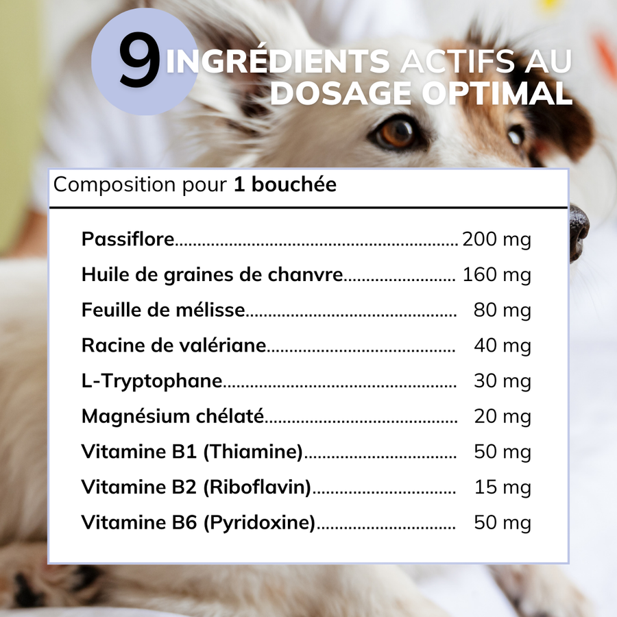 Stress & Anxiété