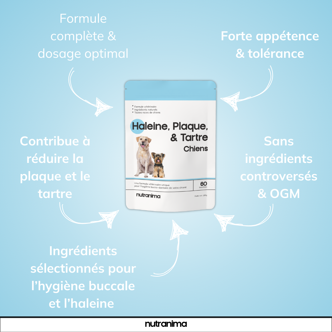 Haleine, Plaque et Tartre