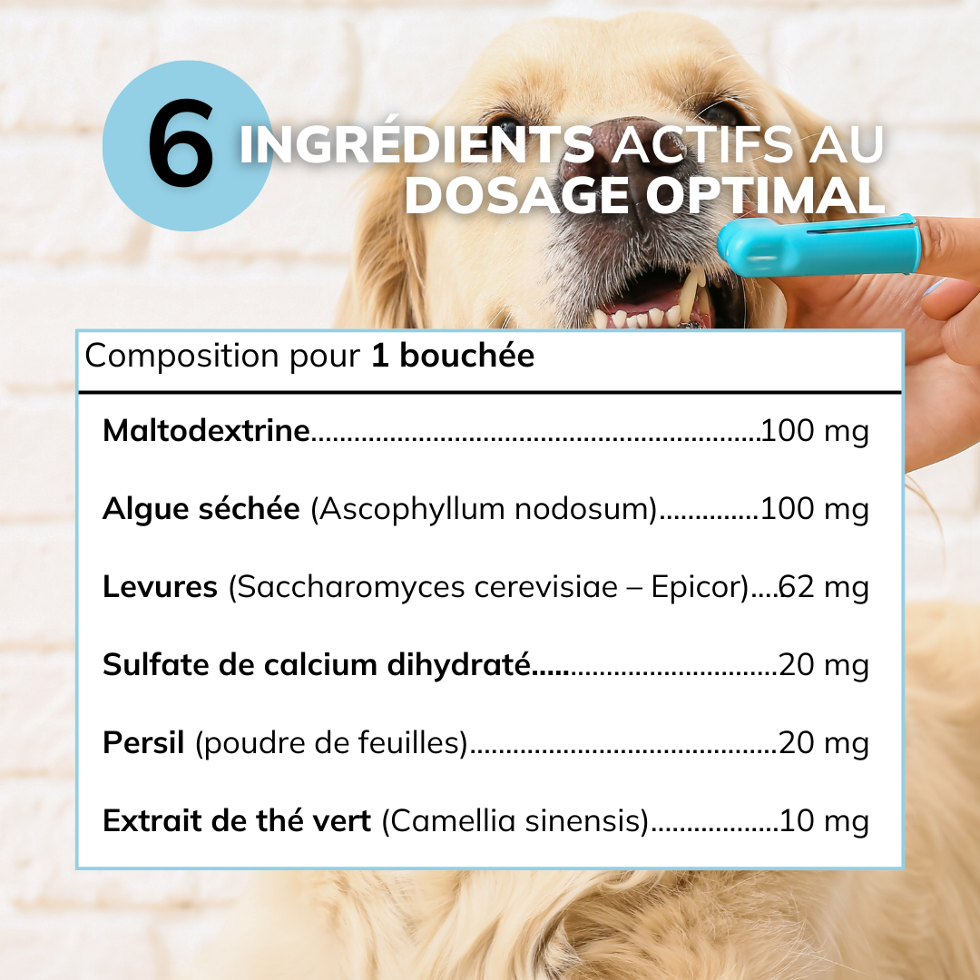 Haleine, Plaque et Tartre