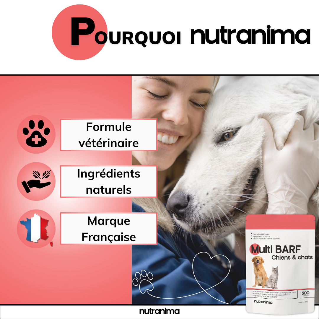 Le Multi BARF (Nouvelle Formule!)