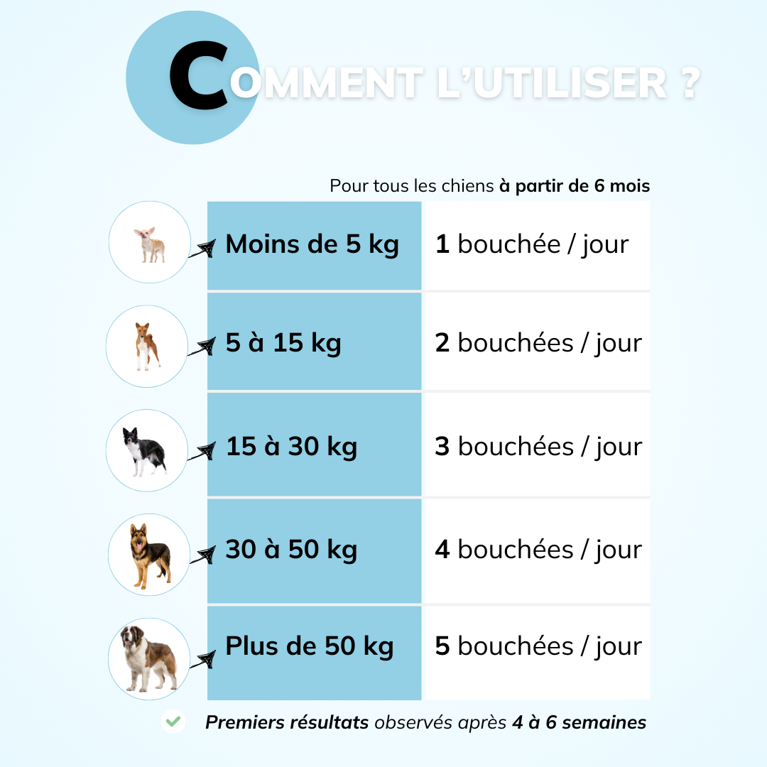 Haleine, Plaque et Tartre