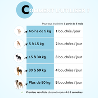 Haleine, Plaque et Tartre