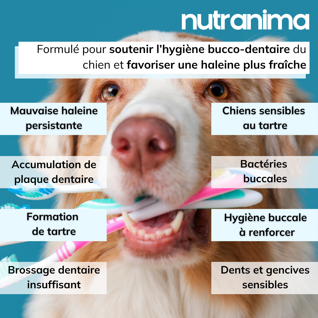 Haleine, Plaque et Tartre