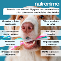 Haleine, Plaque et Tartre