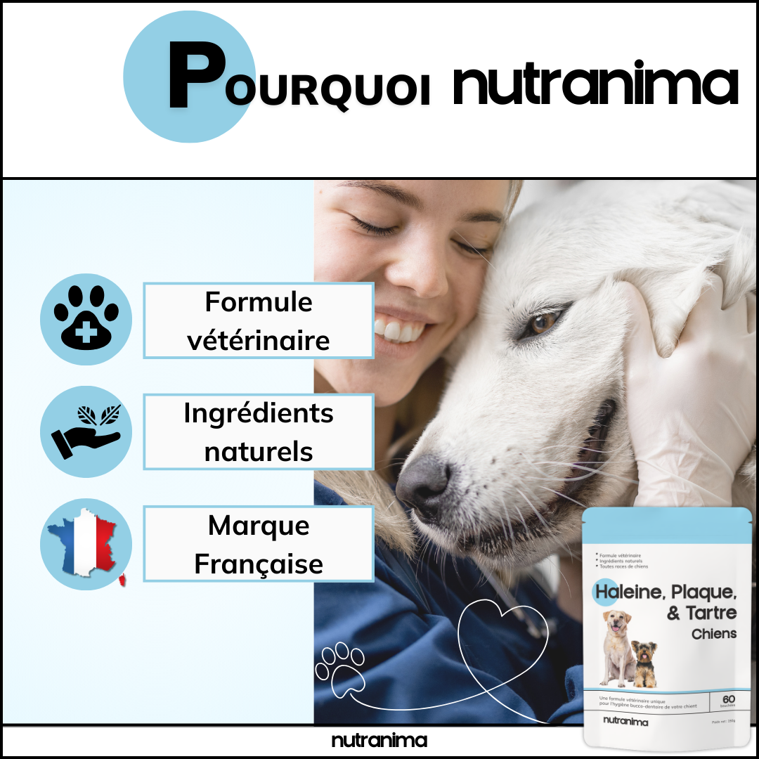 Haleine, Plaque et Tartre