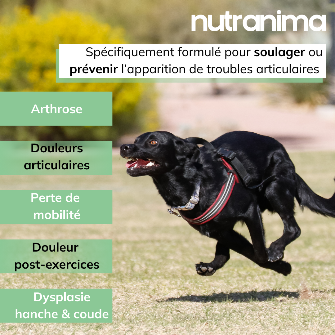 Articulations