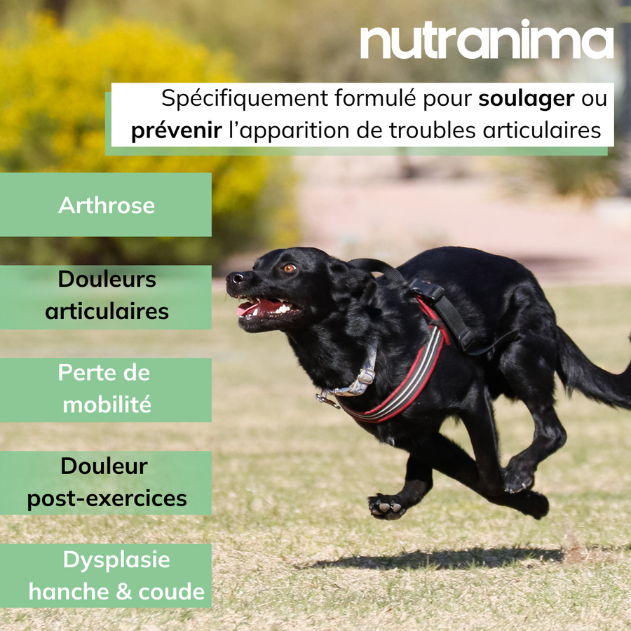 Articulations