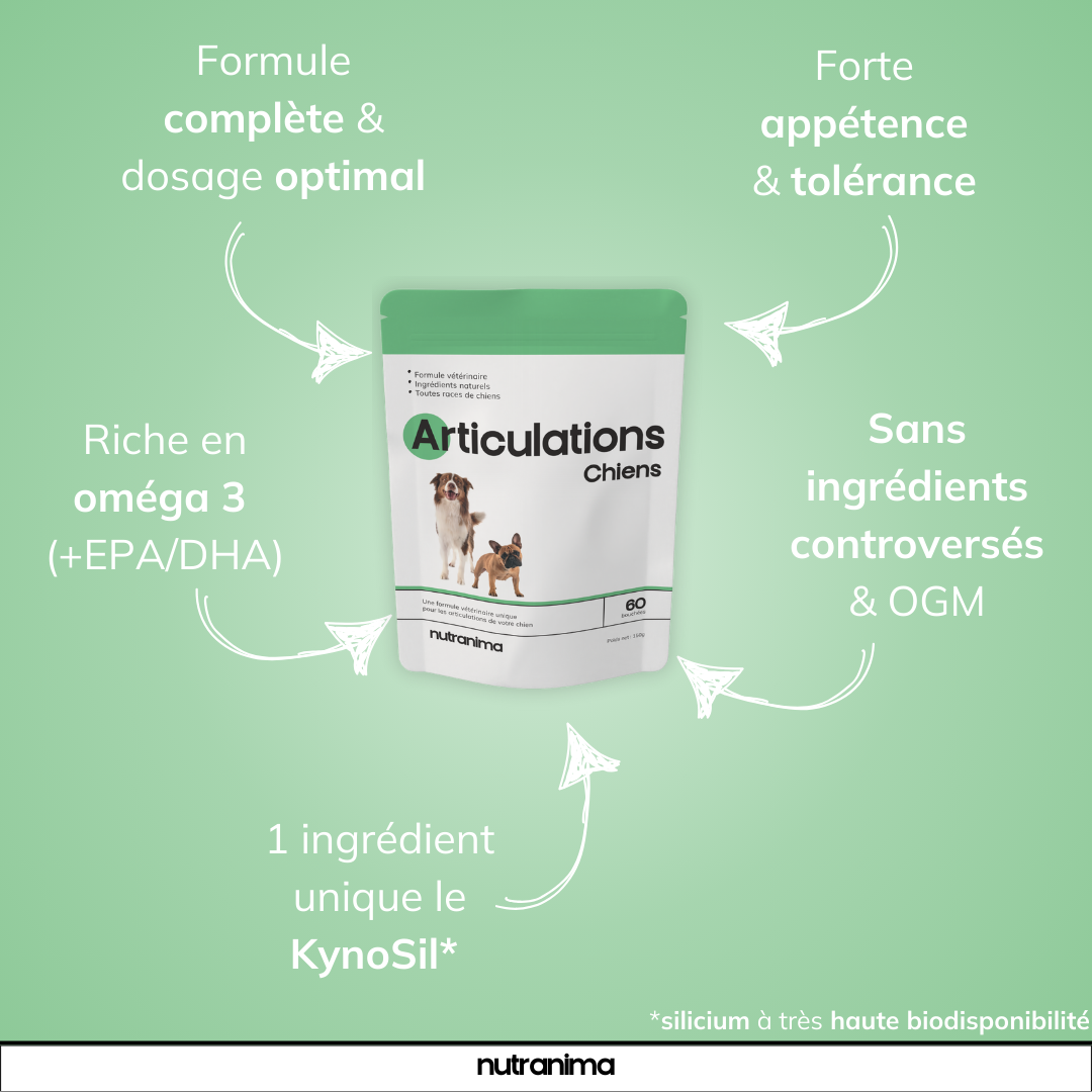Articulations