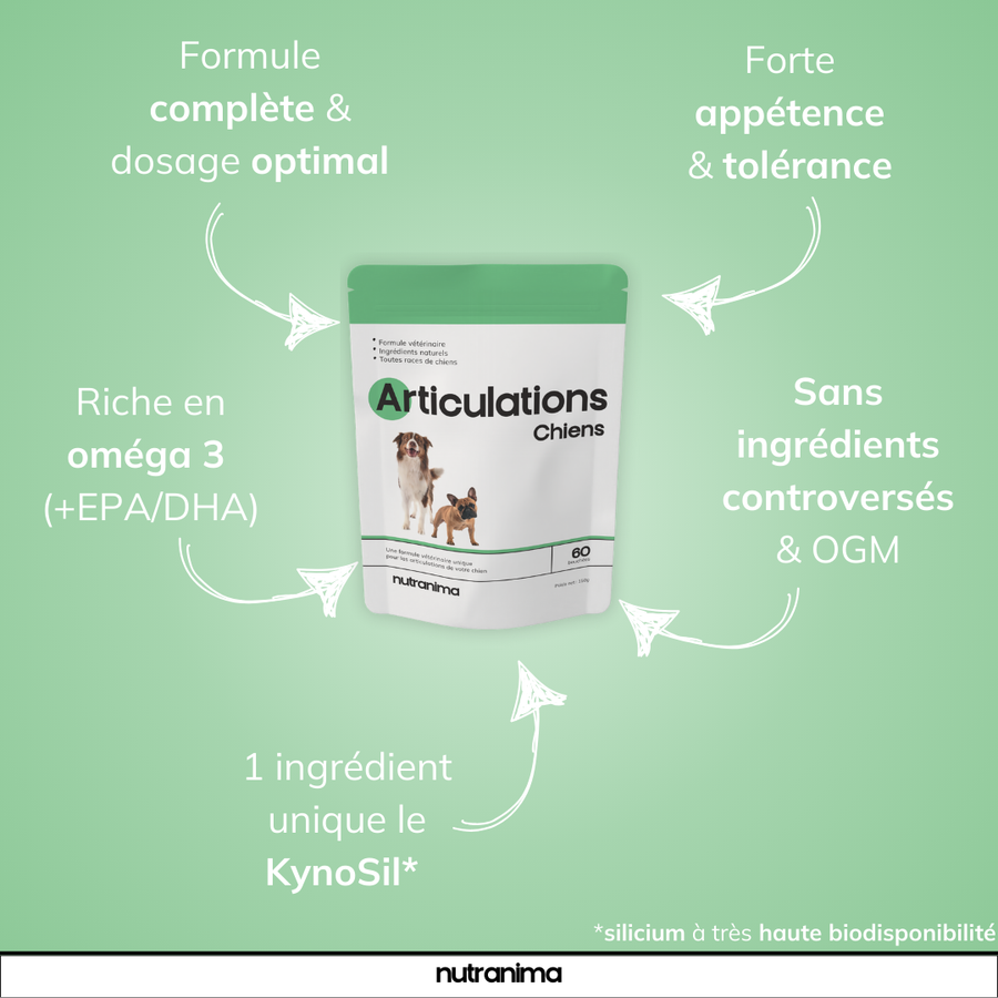 Articulations